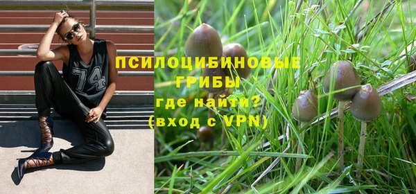 прущие крисы Елизово