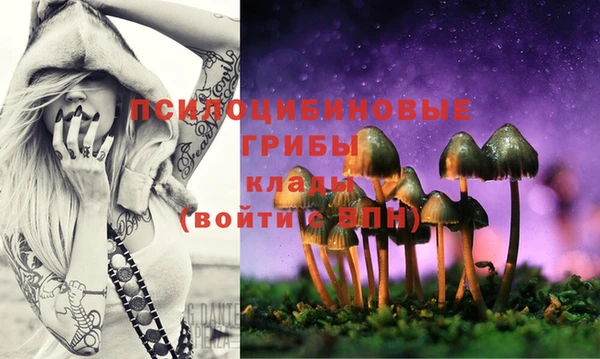 прущие крисы Елизово