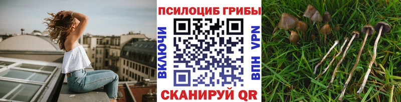 Галлюциногенные грибы Cubensis  Купить  Дудинка 