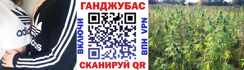 Купить закладки  Дудинка  Каннабис индика 